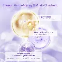 202501061615202.webp